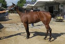 ������Ŭ�� (MARIA CLUE) ����