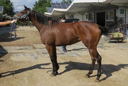 ������Ŭ�� ����