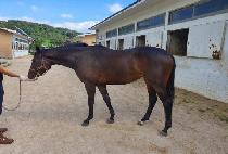 �����ϵ� (NAMDO ILDEUNG) ����