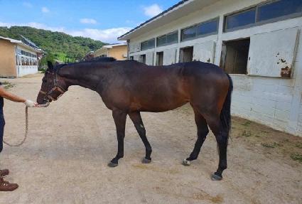 �����ϵ� ����