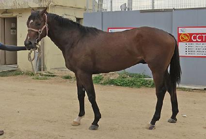 �������� ����