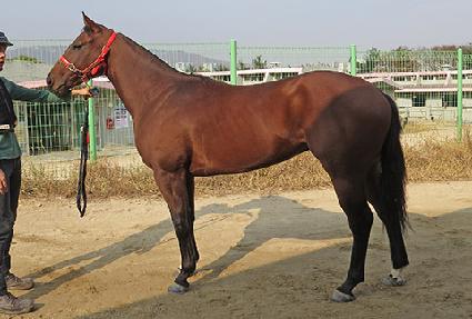 ���è�Ǿ� ����