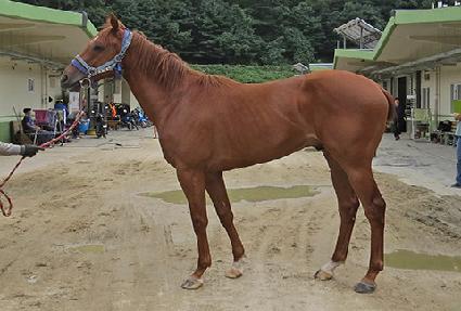 Ư���ѷ� ����