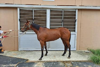 �������ű� ����