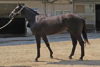 ��帲 ����