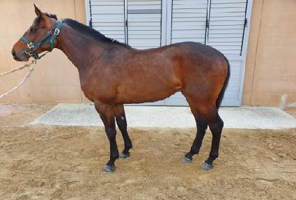 Į��ũ ����