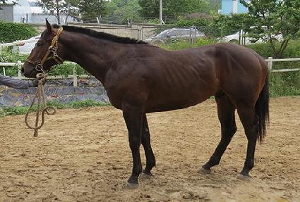 �ݼ����� ����