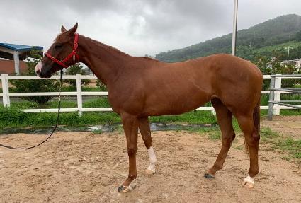 ����Ǯ����Ʈ ����