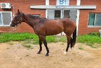 WONDERFUL QUALITY picture