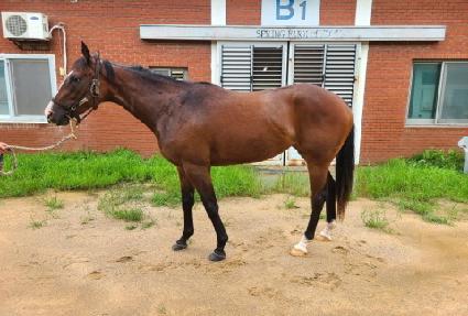 ����Ǯ����Ƽ ����