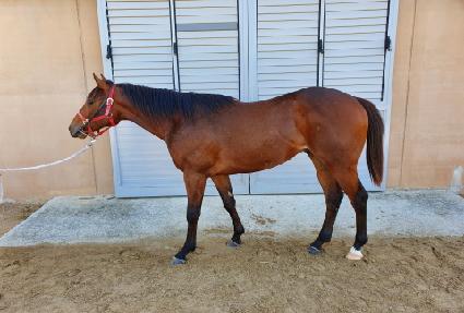 �������� ����