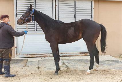 ��絹ǳ ����