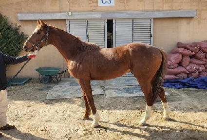 �Ծȹ��̻� ����