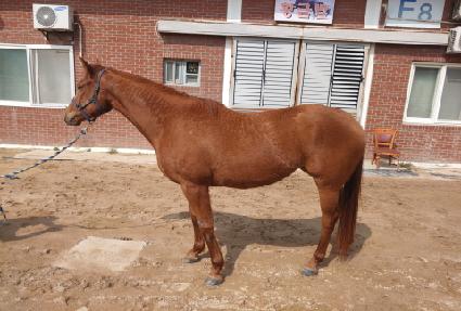 �ԾȺ�ȭ�� ����