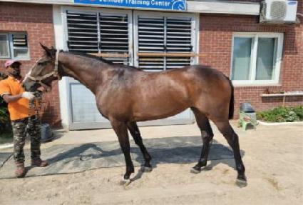 ����ũ ����