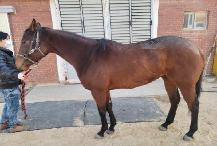 �غ��ǹ��� ����