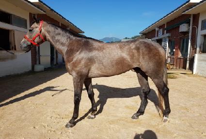 ������� ����