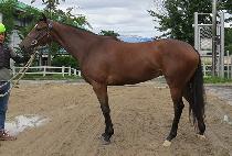 ���ֺ� (CHARMING BOOM) ����