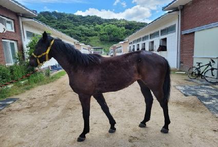 �׽����� ����