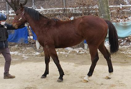 �¸��ǲ� ����