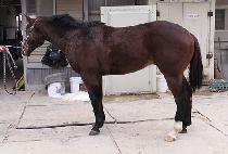 õ�� (CHEONMUN) ����