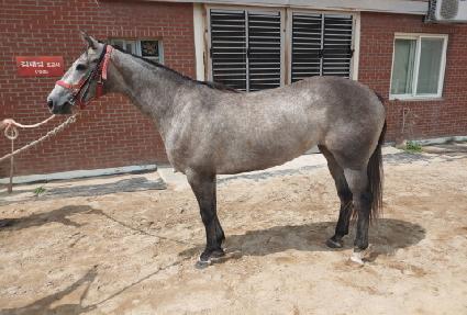 ���Ƴ�����Ʈ ����