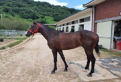 ���̾����� ����