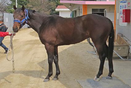 ��ŰŬ�� ����