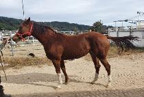 �Ƹ��ٿ�� (AREUMDAUN GAMDONG) ����