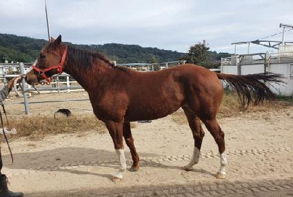 �Ƹ��ٿ�� ����