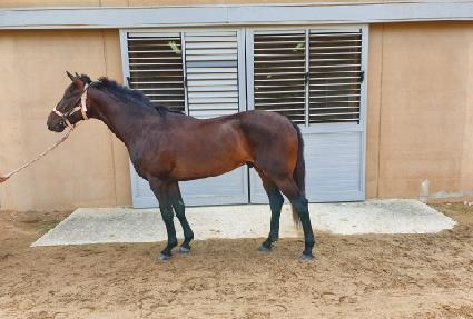 �޷������� ����