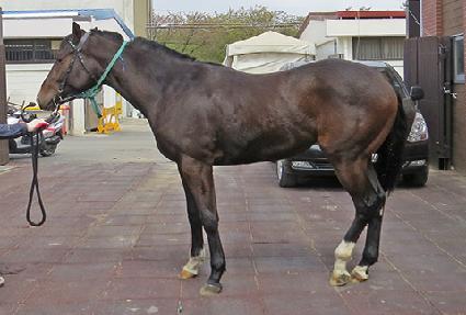 ��ų���� ����