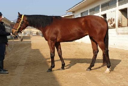 �۷θ��� ����