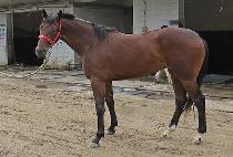 �������� (OKDONG GONGJU) ����