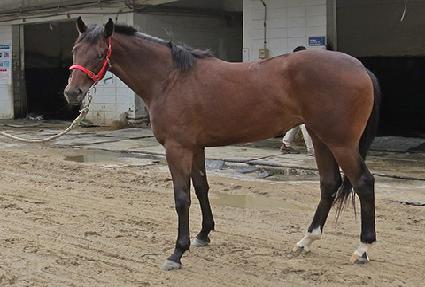 �������� ����