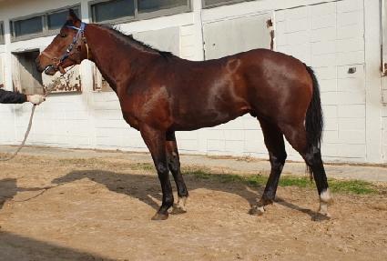 �������� ����