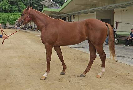 Ȧ�������� ����