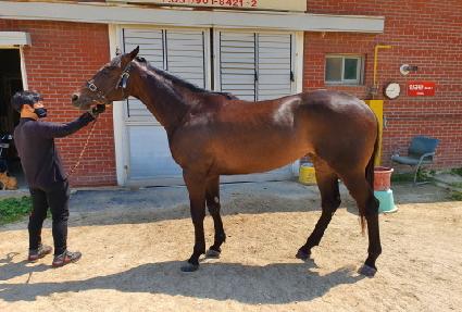 ī�캸�̽��� ����