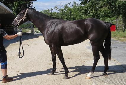 ������ ����