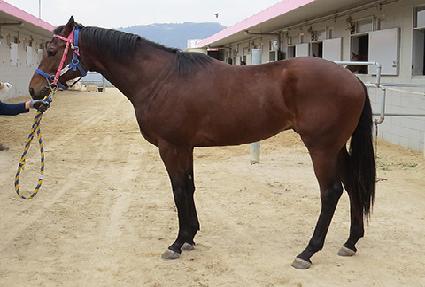 ��Ű���� ����