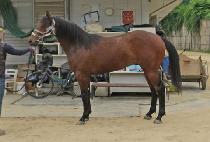 MYEONGPUM HERO picture