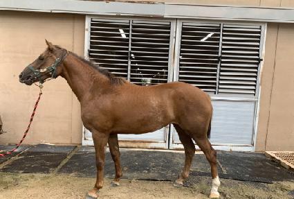 ū�̼����� ����