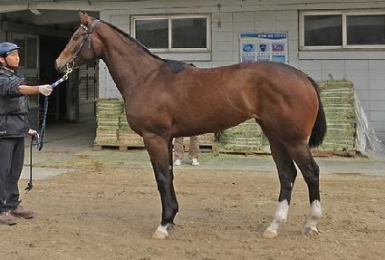 ��ٸ�ĵ�� ����