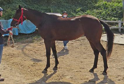 ������� ����