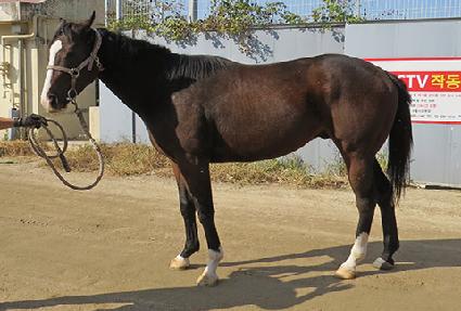 ŷ���������� ����