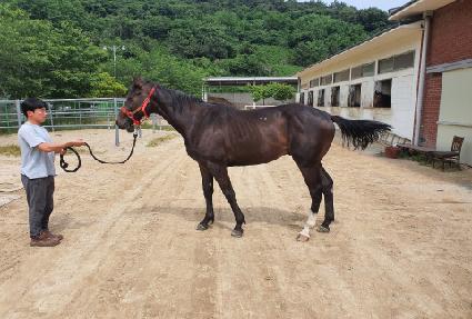 �����Ǳ� ����