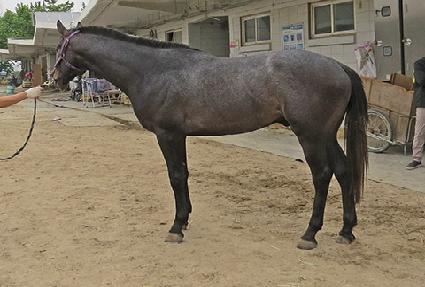 �����߱� ����