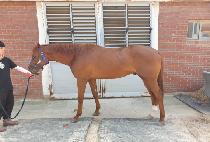 ������ũ (BLUE PARK) ����