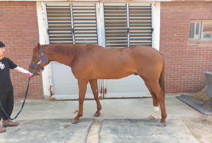 ������ũ ����