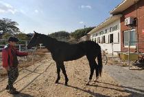 QUEEN HARLEY picture